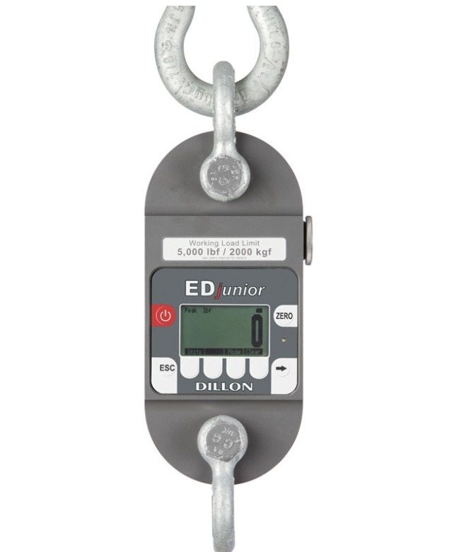 EDjunior